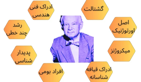 هاینز ورنر