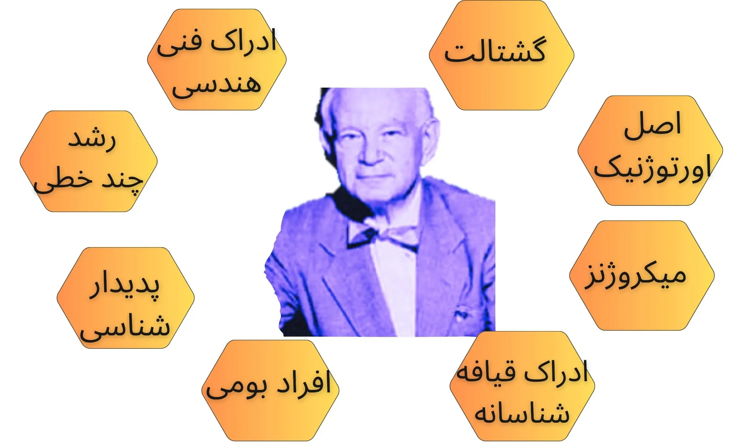 هاینز ورنر