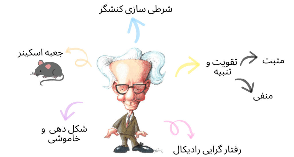 خلاصه نظریه اسکینر