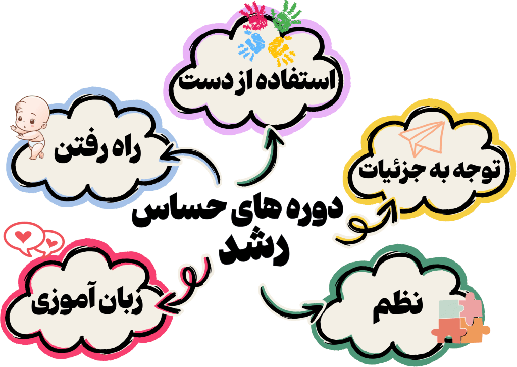 دوره های حساس رشد مونته سوری