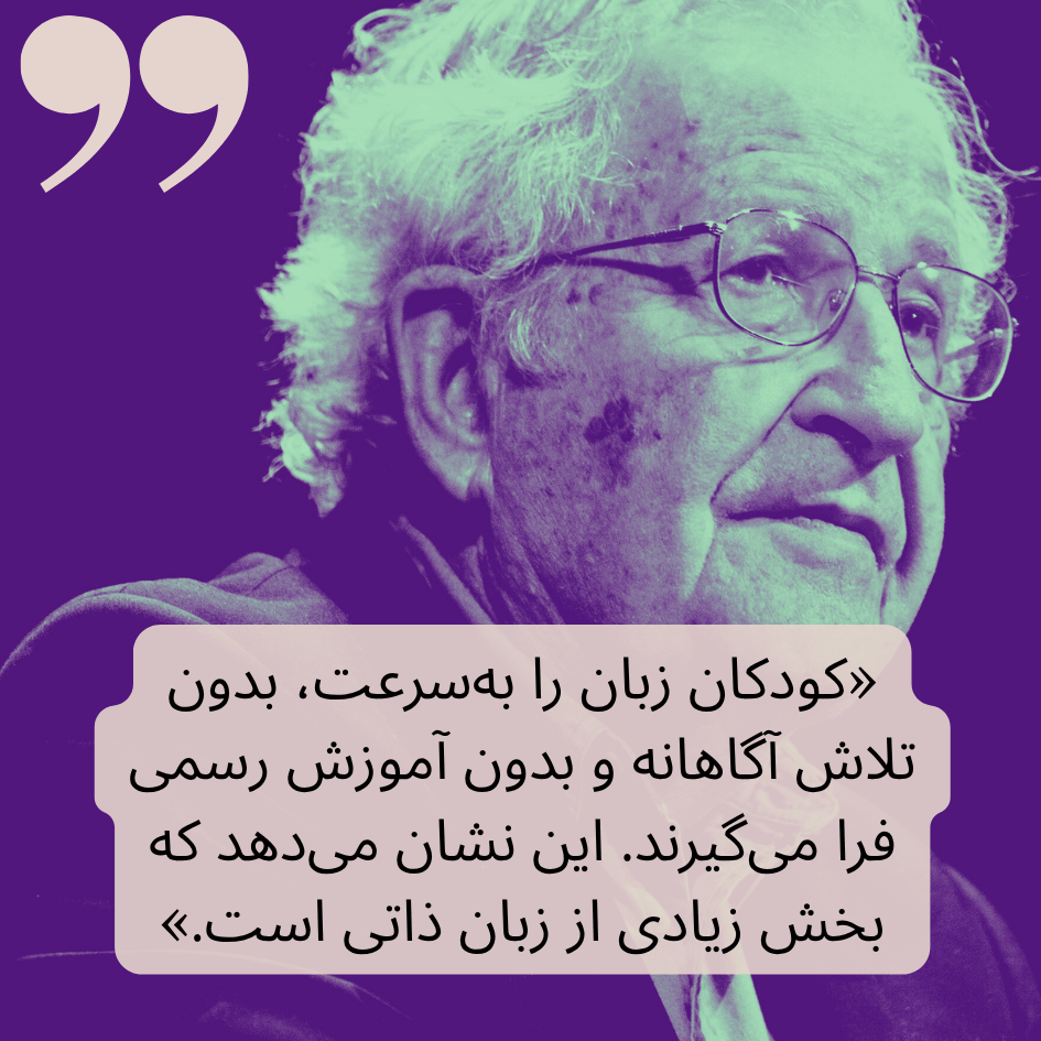 نظریه چامسکی چیست