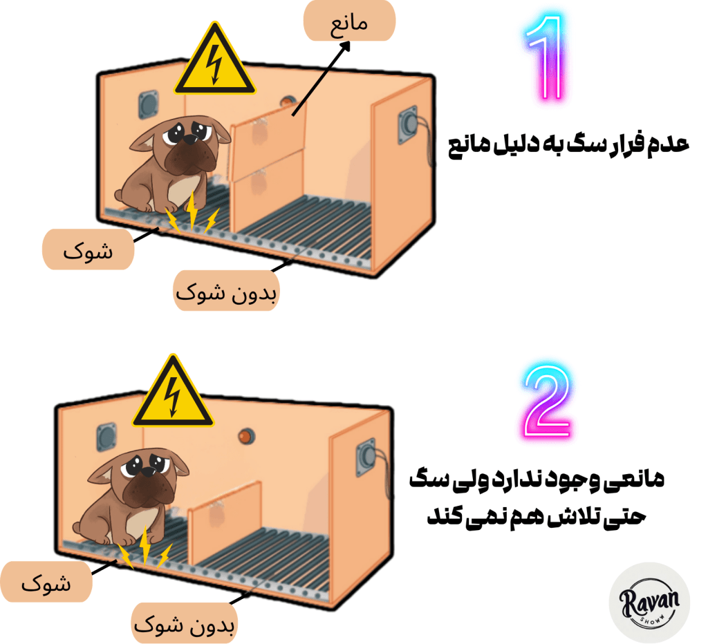 مارتین سلیگمن درماندگی آموخته شده