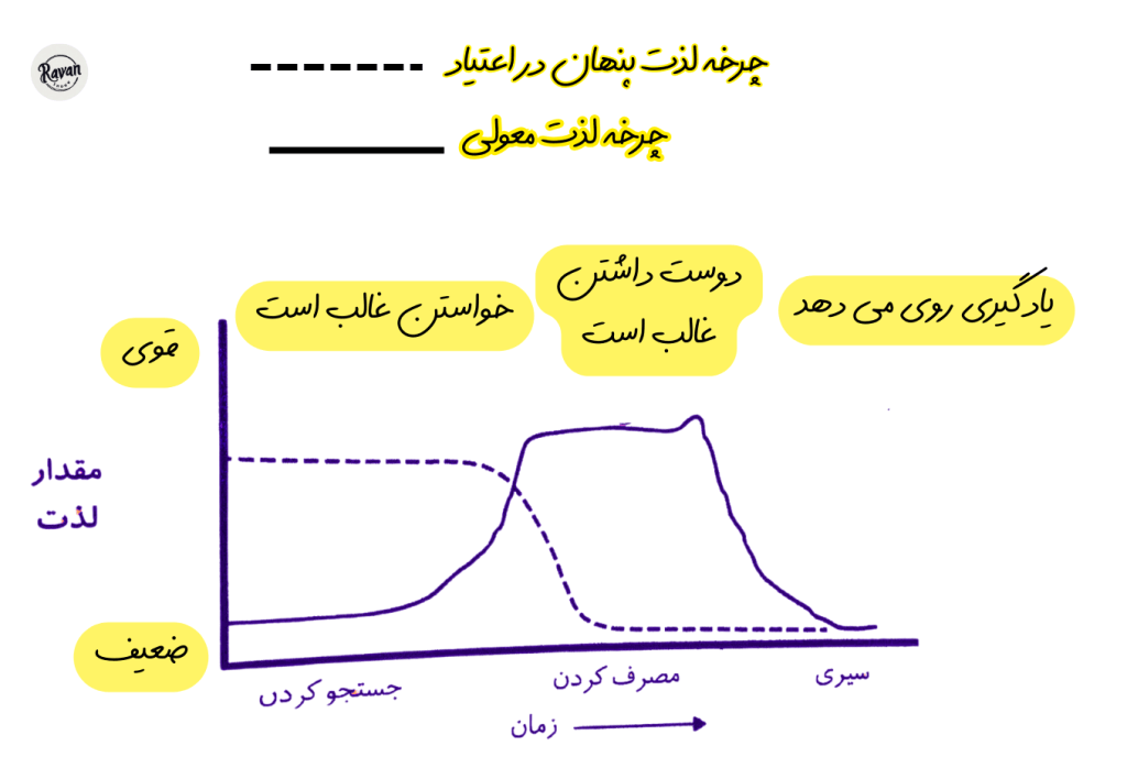 چرخه لذت : خواستن بدون دوست داشتن در اعتیاد 3 چرخه لذت و اعتیاد