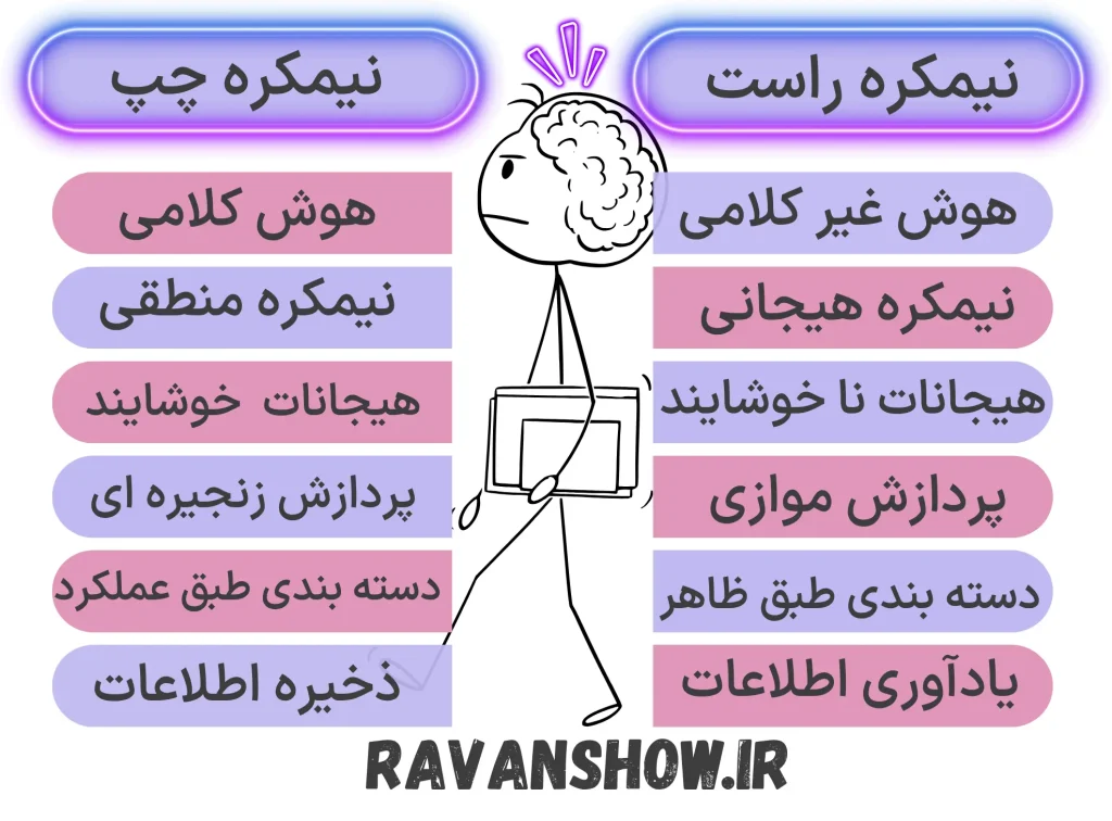 ناهماهنگی نیمکره های مغز و روان رنجوری 2 نیمکره راست و چپ